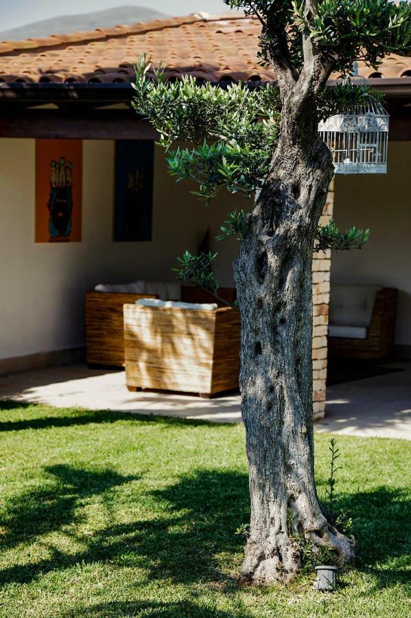 Villa Araucaria Partinico Exteriör bild